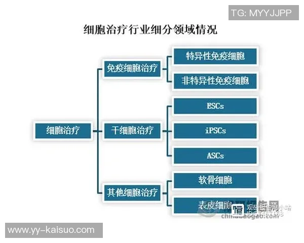 FLC清化与庆和的对决分析及未来发展潜力探讨 FLC清化与庆和的对决分析及未来发展潜力探讨