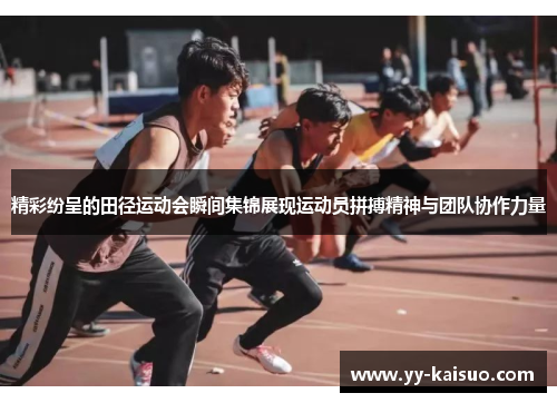 精彩纷呈的田径运动会瞬间集锦展现运动员拼搏精神与团队协作力量